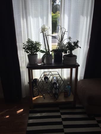 Console table/Plant stand - $40 1