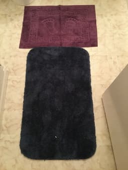 Carpets all for $10 3