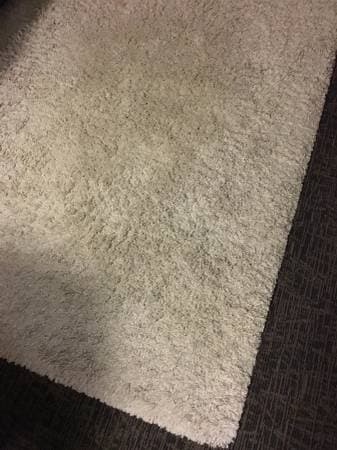 Ivory Rug ($90) 1
