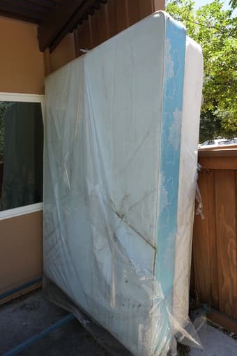 Queen size bed frame + mattress for free 1
