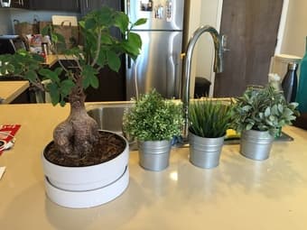 1 bonsai-like mini tree and 3 artificial potted plants $35 1