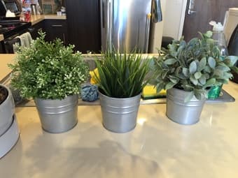 1 bonsai-like mini tree and 3 artificial potted plants $35 2