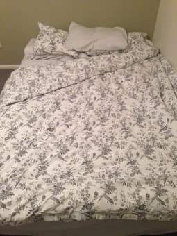 720$ shared room in Midtown PA, NOW-July or Sept, 10min from Stanford 2