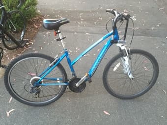 bike-$120 1