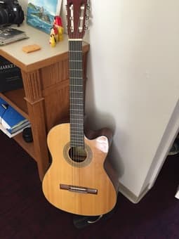 Classic/Spanish Guitar Washburn - offers please 1