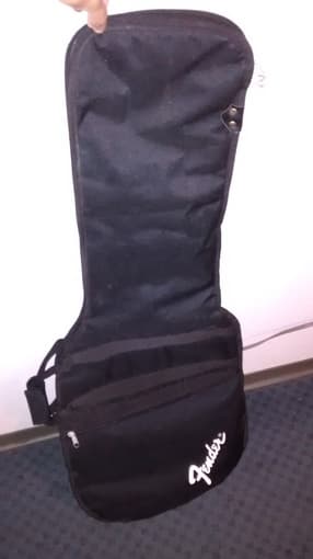 Fender electric guitar Gig Bag $15 1