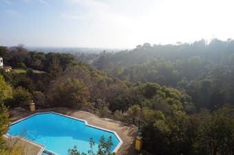 Sunny & Spacious Room w/Pool, Jacuzzi, Views, Location &Awesome People 1