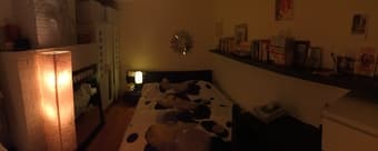 Room sublet, midtown PA $975/month 1