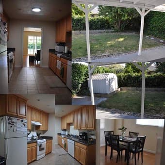 $950/mo - share a house with 3 female professionals & a pug 1