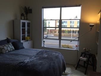 Spacious 1 BR in Palo Alto ($2795/ mo) 2