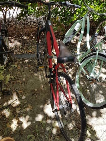Bike + U-Lock $60 1