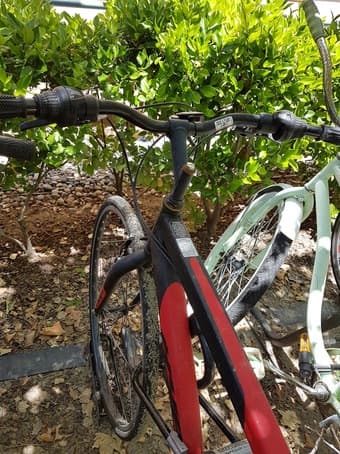 Bike + U-Lock $60 3