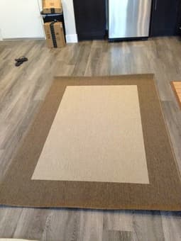 IKEA Rug $50 1