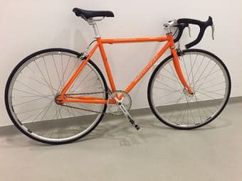 Fixie Gear Road Bike 1