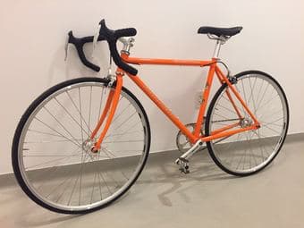 Fixie Gear Road Bike 2