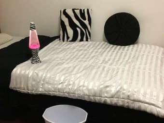 Excellent deal! Full bedset, comforter, cushions, lamp, trashbin - $10 2