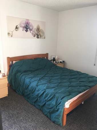 Couples' 1 bed sublet in Stanford: Sept 3rd - Sept 15th - $60/night 3