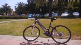 Urgent cheap bike for sale! 1