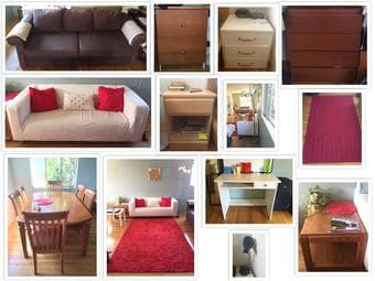 Sofas, tables, side tables, lamps, rugs, drawers, lamps (Moving sale) 1