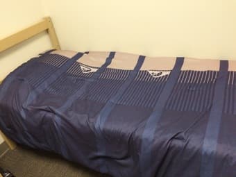Twin XL Sheet Set, Comforter & Pillow - $15 1