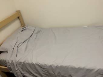 Twin XL Sheet Set, Comforter & Pillow - $15 2