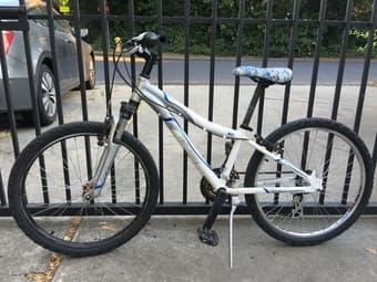 Raleigh Bike for sale 2