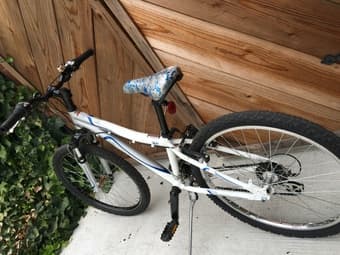 Raleigh bike for sale 2