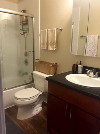 $1550  Large Room in Attractive Apartment, Utilities Inclued (9/21) 3