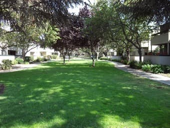 $1250 Master bedroom in Fremont 2bed 1bath available Sept. 5th 1