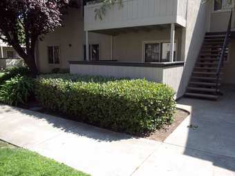$1250 Master bedroom in Fremont 2bed 1bath available Sept. 5th 2