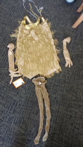 Costumes. Luigi, leonardo, flapper 3