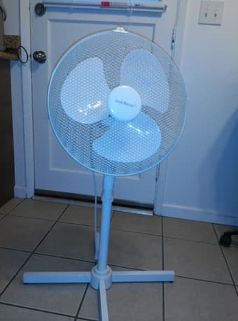 $20_Big fan 1