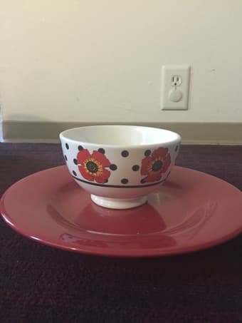 Kitchen items all $15 dollars (Bowl, plates, knives, forks, toaster..) 2