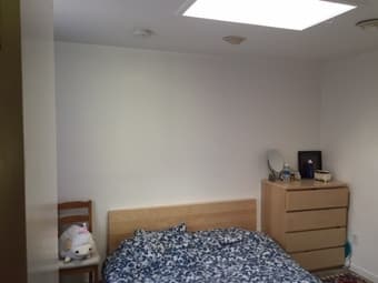 Beautiful cottage, 5 minute walk to university avenue 1