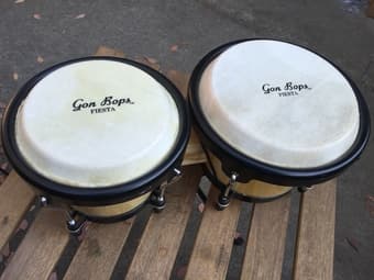 Bongo @ $45 2