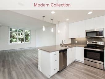 Master Bedroom in 2br/2ba - Mountain View - Available now 1