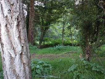 $5600 4 bed 2 bath upscale farmhouse with available horse facilities 1