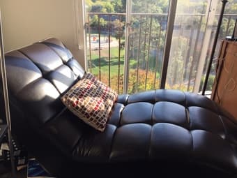 Chaise Lounge Chair $89 obo 3