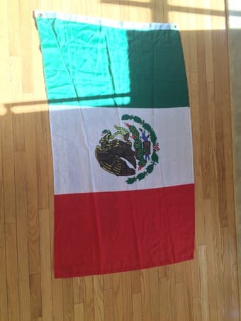 Forest tapestry, yoga mat, lamp, Mexican flag, muscle roller, more! 2