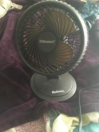 small fan $15 1