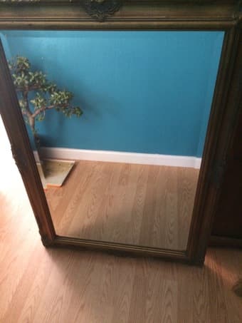 Large Gold Mirror - $50 1