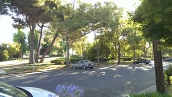 1200 - 1 Br/1Bath in Old palo Alto 3