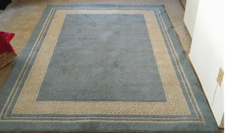 Big Rug for 30$ 1