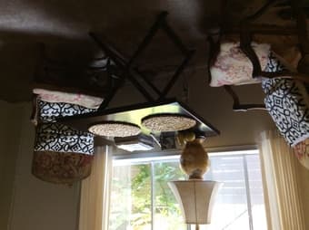 Room for Rent in Los Altos - $1,000/month - Nov. 1 - 30 2