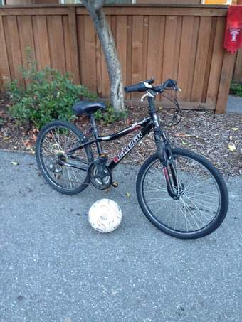Raleigh Mountain bike 2