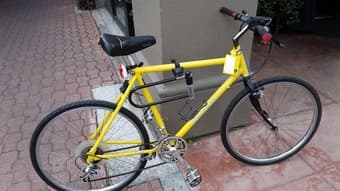 Stylish diamond back for sale $100 OBO 1