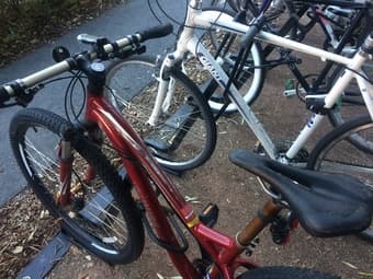 Women's Specialized Mountain Bike, size S, $350 OBO 4
