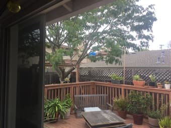 Room for rent $980 RWC 2