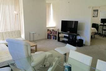 SF:Sunny and Spacious Master BR w/ Jacuzzi, Gym, Billiards Room +more! 2