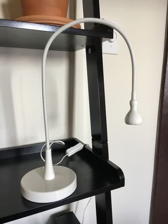 IKEA office chair ($20) and lamp ($7) 2